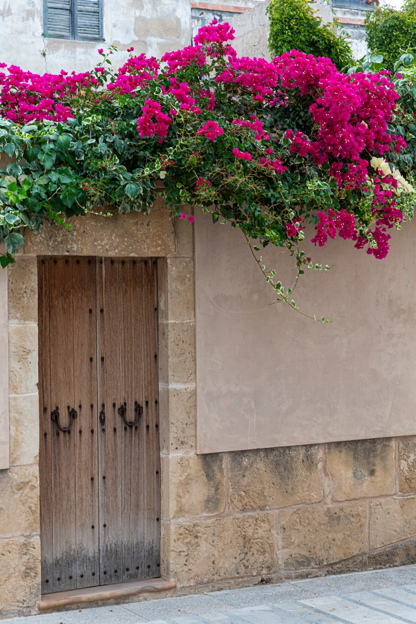 03/08/2020-Majorque(Espagne)-Alcudia