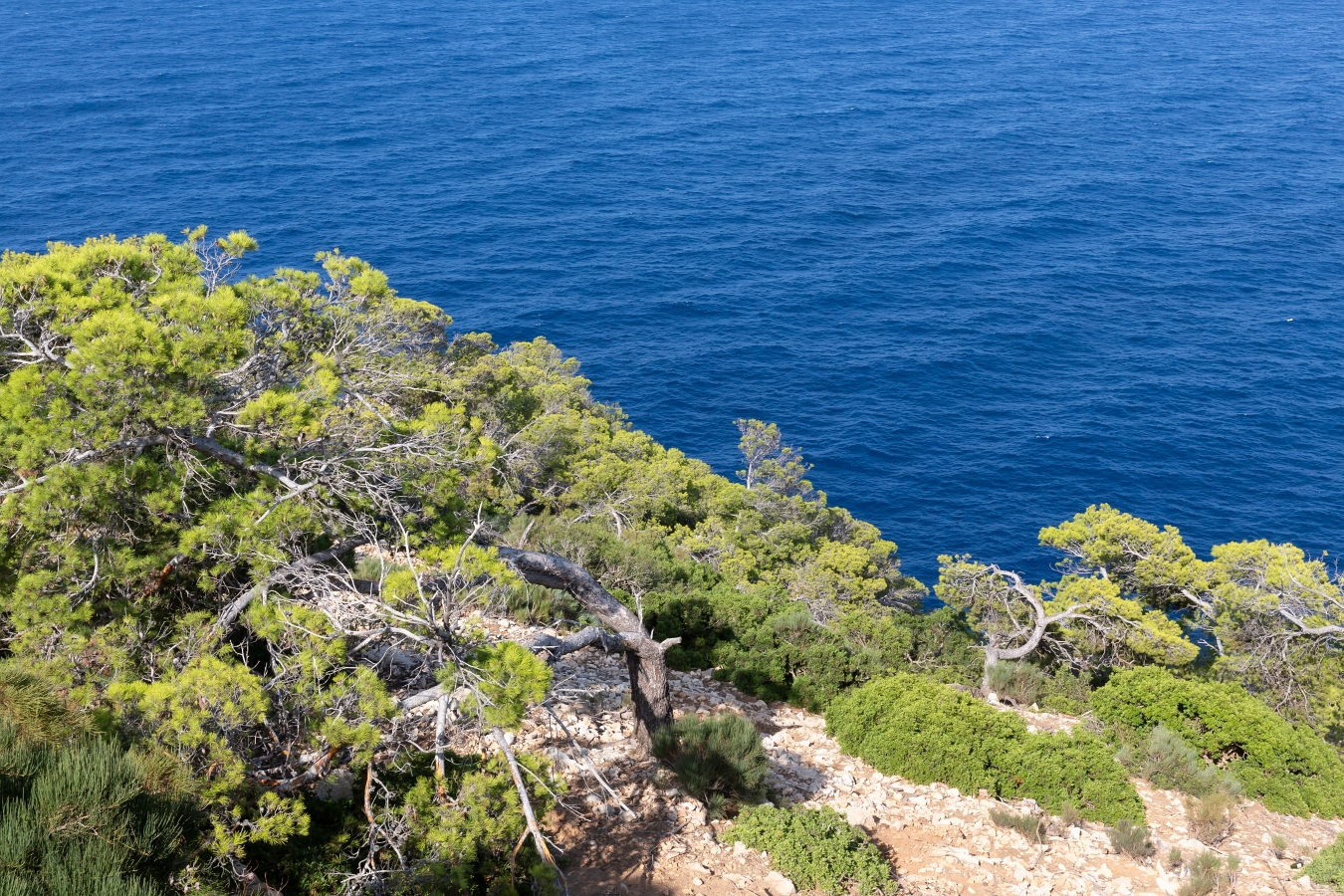 03/08/2020-Majorque(Espagne)-Cap de Formentor