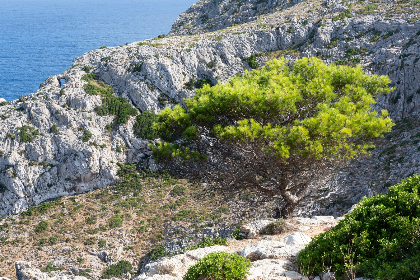 03/08/2020-Majorque(Espagne)-Cap de Formentor