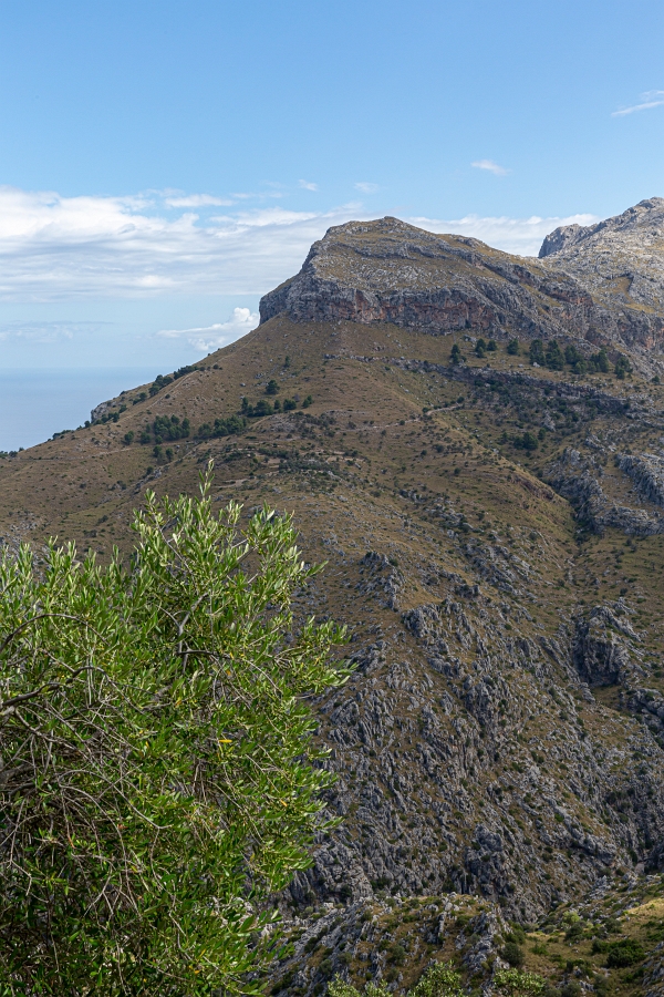 05/08/2020-Majorque(Espagne)-Paysages de la côte Ouest