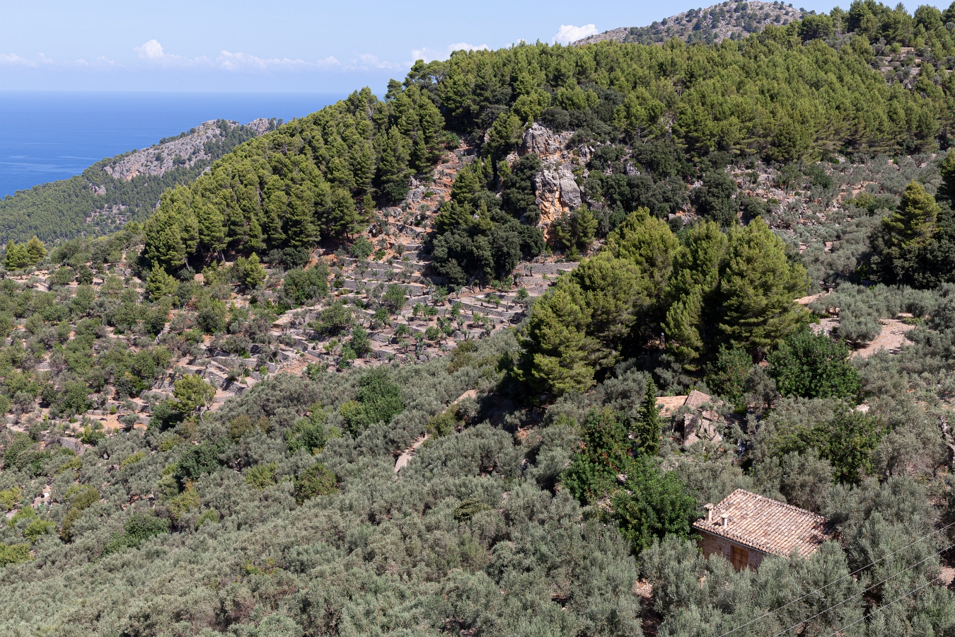 05/08/2020-Majorque(Espagne)-Paysages de la côte Ouest