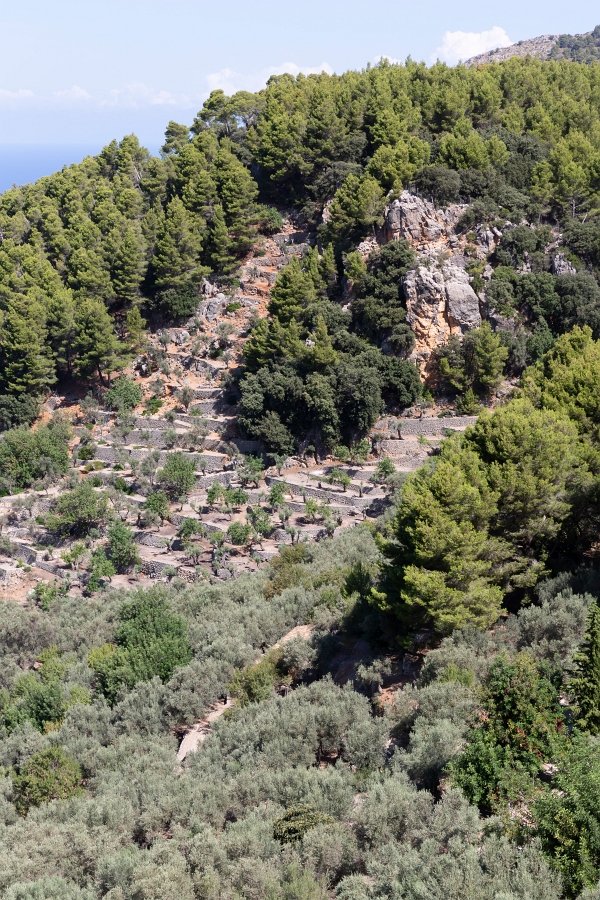 05/08/2020-Majorque(Espagne)-Paysages de la côte Ouest