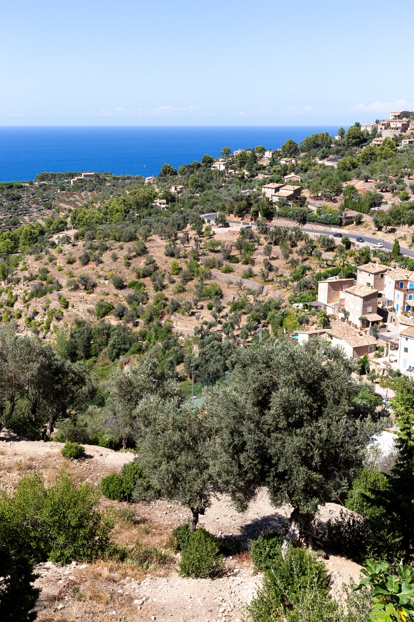 05/08/2020-Majorque(Espagne)-Déia