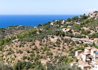 20200801-8010-p5 - 05/08/2020-Majorque(Espagne)-Déia