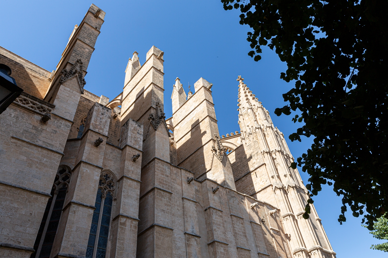 07/08/2020-Majorque(Espagne)-Palma