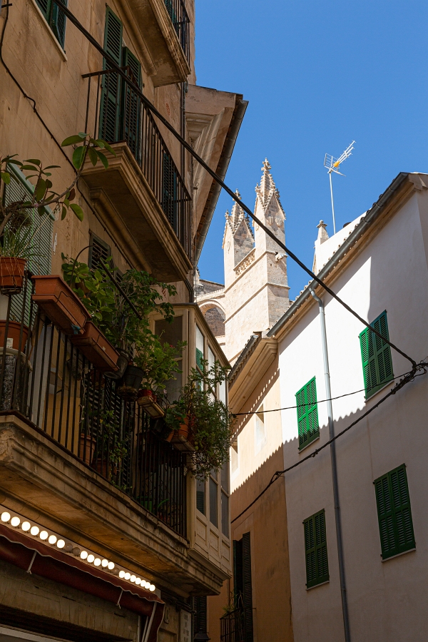 07/08/2020-Majorque(Espagne)-Palma