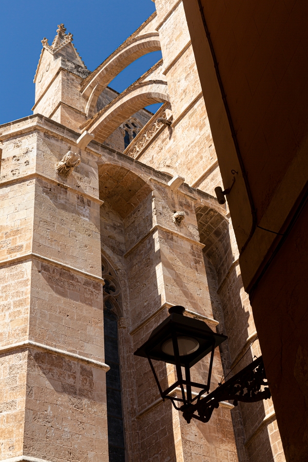 07/08/2020-Majorque(Espagne)-Palma