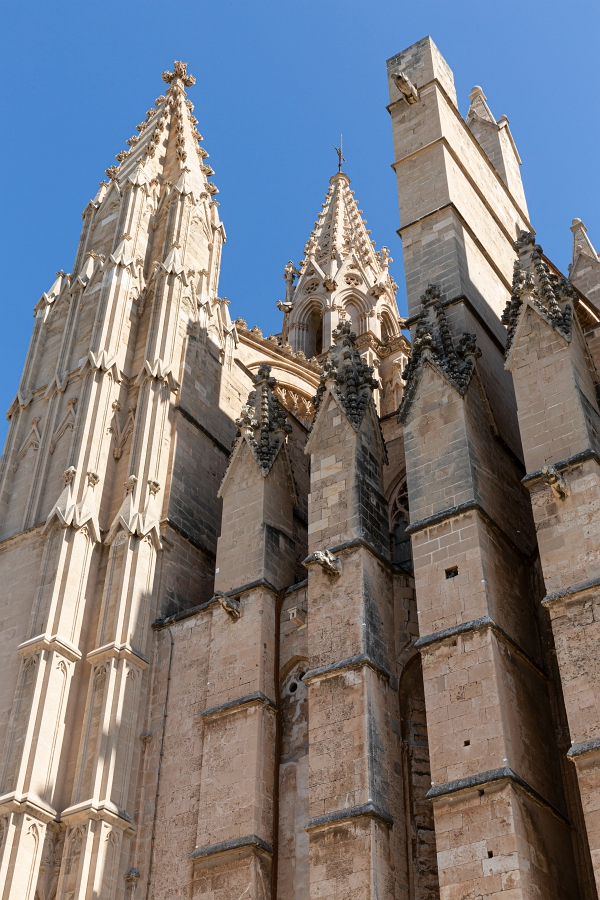 07/08/2020-Majorque(Espagne)-Palma