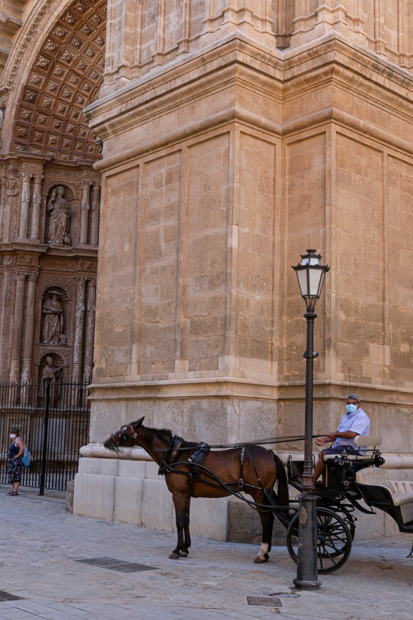 07/08/2020-Majorque(Espagne)-Palma