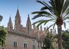 20200801-9006-p5 - 07/08/2020-Majorque(Espagne)-Palma