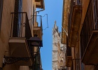 20200801-9053-p5 - 07/08/2020-Majorque(Espagne)-Palma