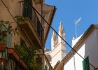 20200801-9055-p5 - 07/08/2020-Majorque(Espagne)-Palma