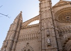 20200801-9069-p5 - 07/08/2020-Majorque(Espagne)-Palma