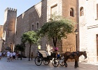 20200801-9072-p5 - 07/08/2020-Majorque(Espagne)-Palma