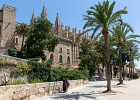20200801-9076-p5 - 07/08/2020-Majorque(Espagne)-Palma