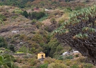 20210704-2040-p5 - 07/07/2021-Tenerife(Canaries)-Tour de l'île