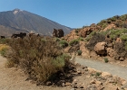 20210704-2066-p5 - 07/07/2021-Tenerife(Canaries)-Tour de l'île-->Tejdé
