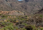 20210704-2075-p5 - 07/07/2021-Tenerife(Canaries)-Tour de l'île-->Tejdé