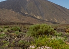 20210704-2077-p5 - 07/07/2021-Tenerife(Canaries)-Tour de l'île-->Tejdé