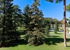 20221018-1224-p5c70 - 18/10/2022-Rome(Italie)-Jardins du Vatican