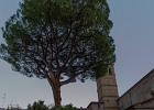 20221018-3507-p5c70 - 19/10/2022-Rome(Italie)-Trastevere