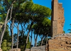 20221018-4211-p5c70 - 20/10/2022-Rome(Italie)-Le mont Palatin et le forum