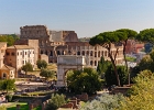 20221018-4222-p5c70 - 20/10/2022-Rome(Italie)-Le mont Palatin et le forum