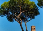 20221018-4225-p5c70 - 20/10/2022-Rome(Italie)-Le mont Palatin et le forum