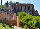 20221018-4231-p5c70 - 20/10/2022-Rome(Italie)-Le mont Palatin et le forum