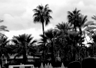 20230820 9936 P8 - 20/08/2023-Majorque-Off