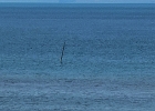 20250425 1015 P8 -