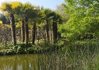 Le parc Terra Botanica