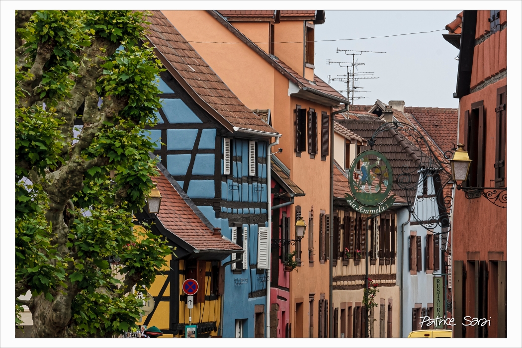 20150516-3007-p4-bs