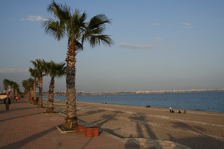 20070310-1084pe.JPG