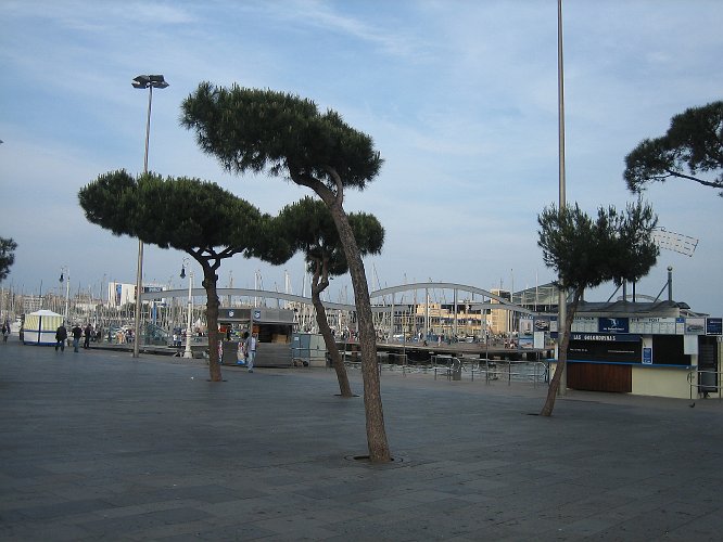 20060511-1036pe.JPG