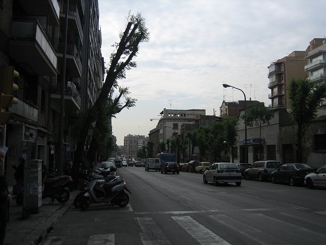 20060511-1088pe.JPG