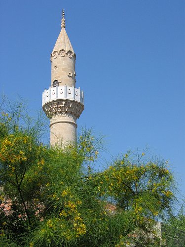 20050721-3170p.JPG
