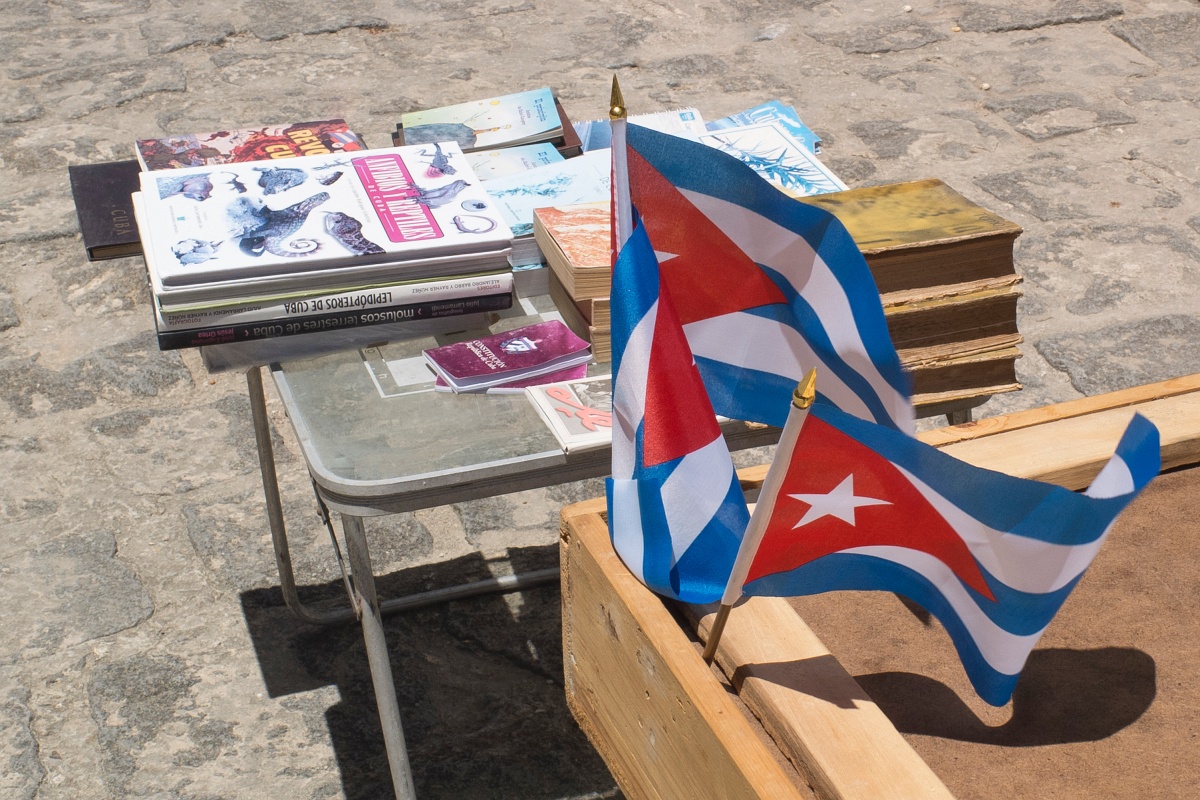 20130505-2819-pf.jpg - 05/05/2013-La Havane(Cuba)-La ville-->Drapeau cubain