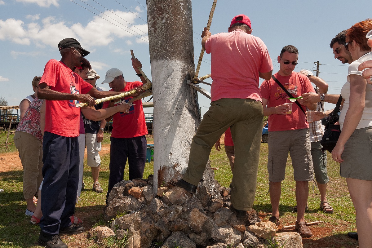 20130506-3141-p4.jpg - 06/05/2013-Région de Santa Clara(Cuba)-Champ de canne à sucre-->Extraction jus canne à sucre