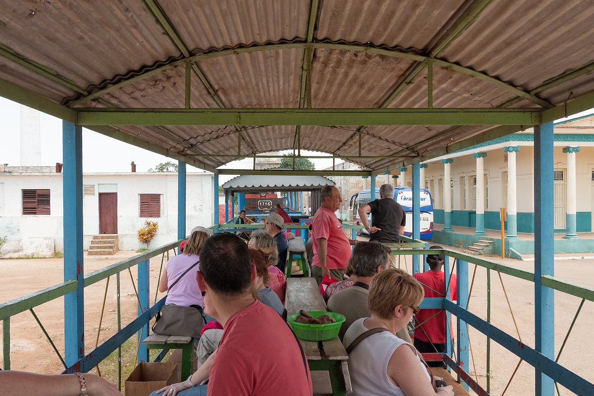 20130506-3158-p4.jpg - 06/05/2013-Région de Santa Clara(Cuba)-Champ de canne à sucre
