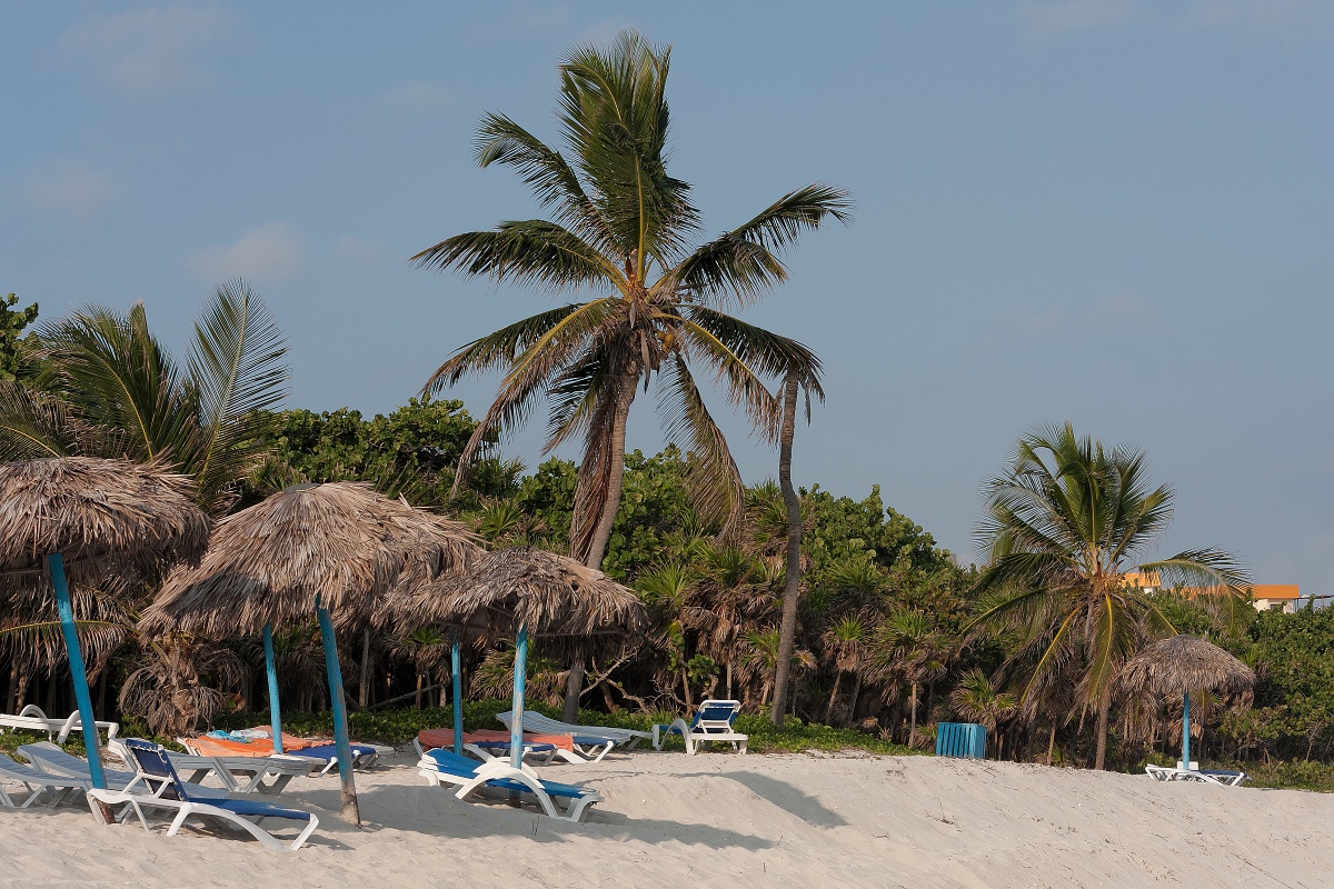 20130510-6019-p4.jpg - 05/2013-Varadero(Cuba)-Hotel Sol Palmeras-->La plage