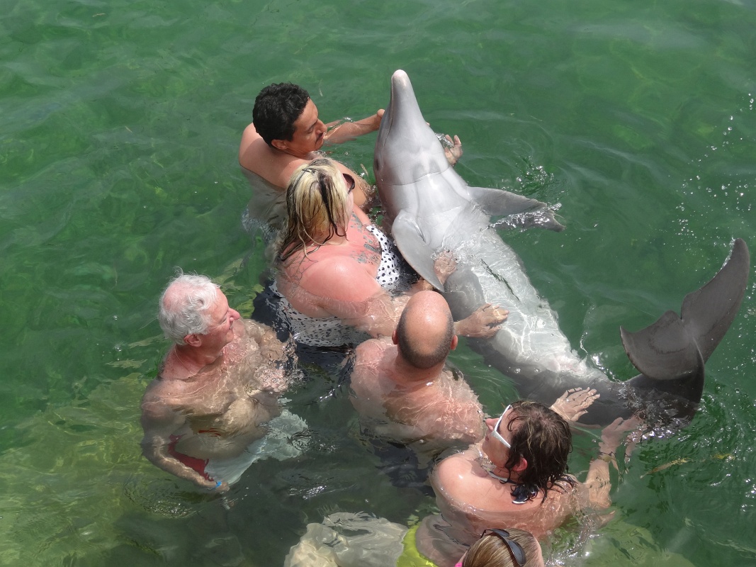 20130513-7036-js.JPG - 13/05/2013-Varadero(Cuba)-Sortie en catamaran-->Avec les dauphins, Patrice, jocelyne