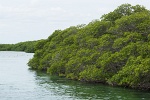 20130513-7028-pf