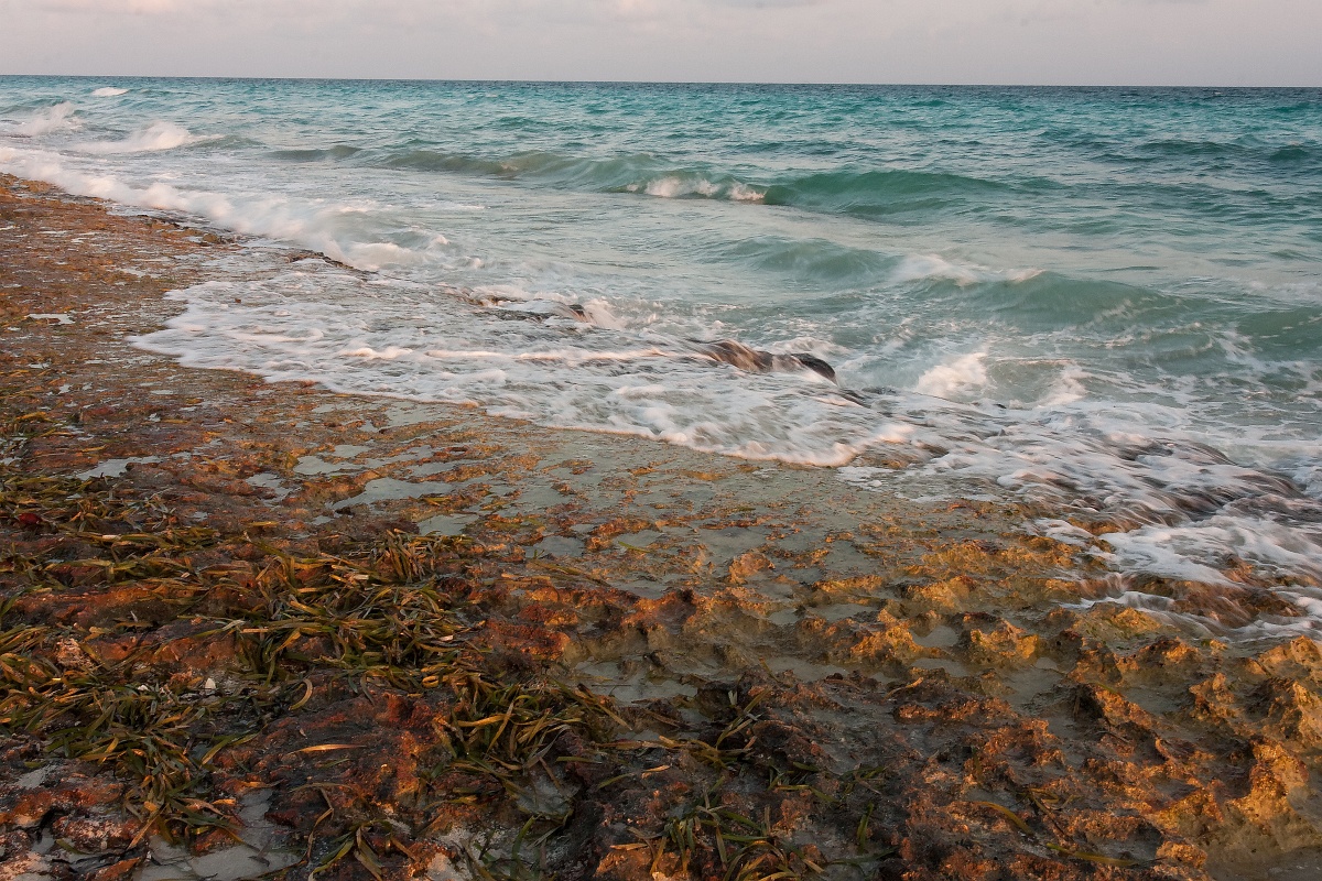 20130514-8007-p4.jpg - 14/05/2013-Varadero(Cuba)-Bord de plage