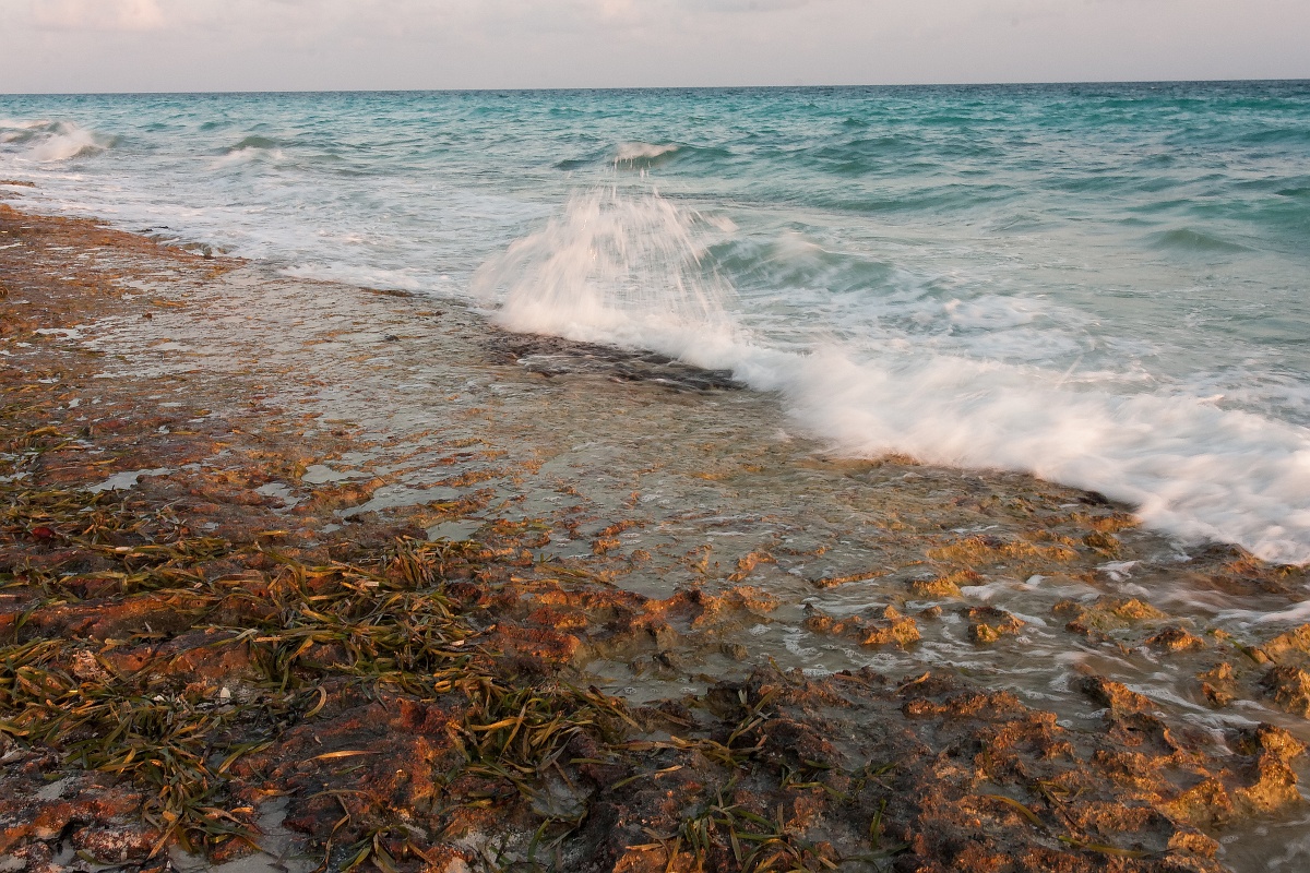 20130514-8008-p4.jpg - 14/05/2013-Varadero(Cuba)-Bord de plage