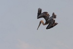 20130514-8090-p4