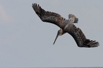 14-mar-reportage