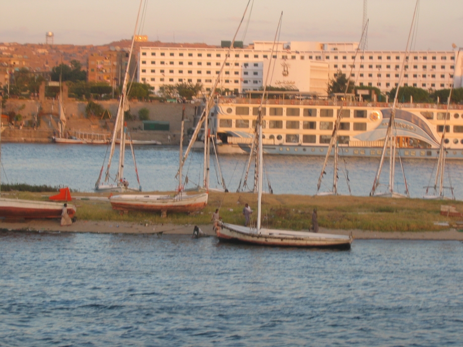 200402EgyJ1-0160