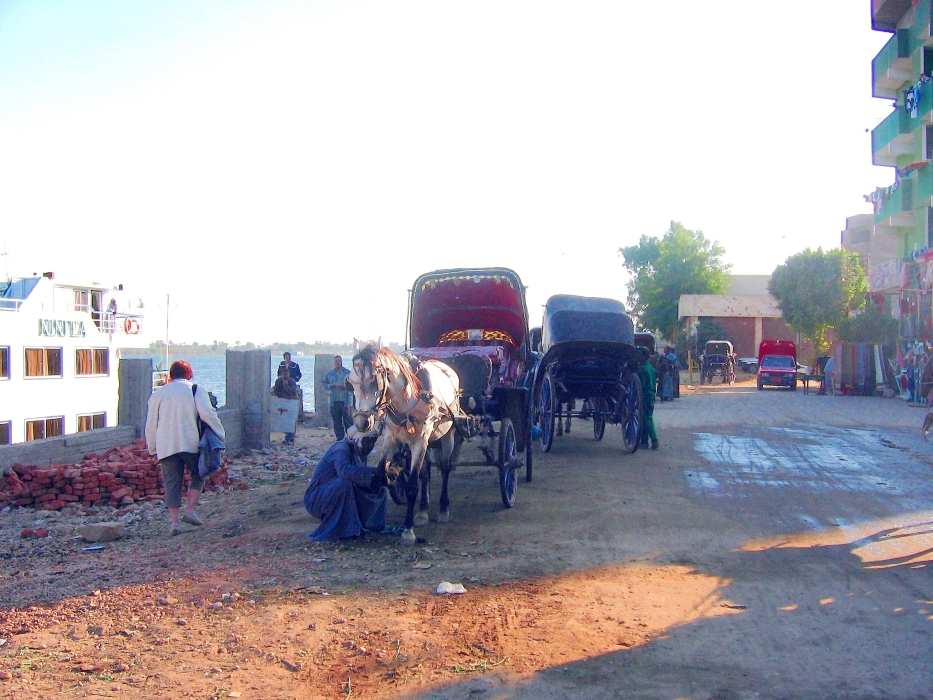 200402EgyJ2-0290