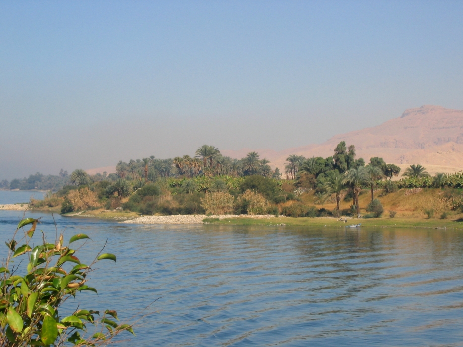 200402EgyJ5-0110